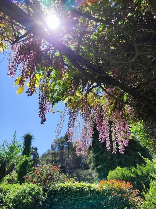 Вилла La Californienne Каркеран Экстерьер фото