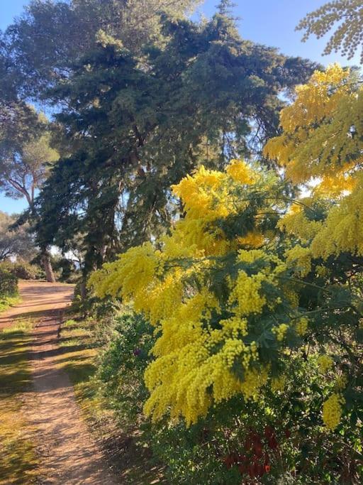 Вилла La Californienne Каркеран Экстерьер фото